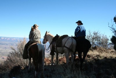 horse n mule 050.jpg