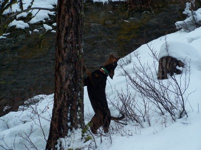 100_2725 [640x480].jpg