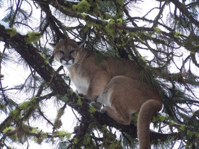 100_2738 [640x480].jpg