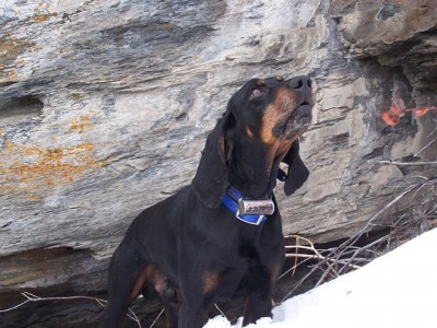 100_2763 [640x480].jpg