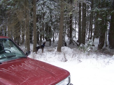 100_2783 [1024x768].jpg