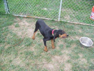 102_1686 [640x480].JPG