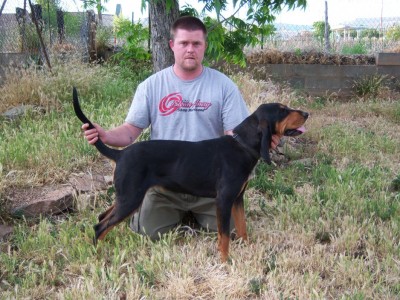 1/2 B&amp;T 1/2 Cameron