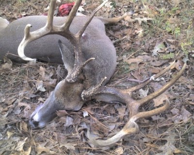 12-point; typical 168 b&amp;c