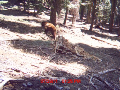 cam 2011 (2) 021.JPG