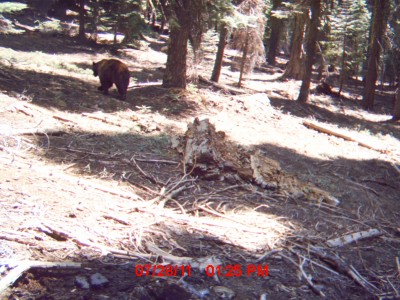 cam 2011 (2) 022.JPG