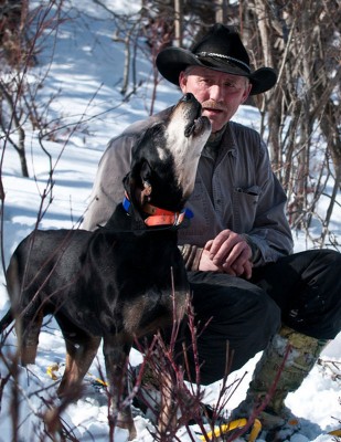 Ol Dan on treeing on the Lion Study Yarrow March 2011.jpg