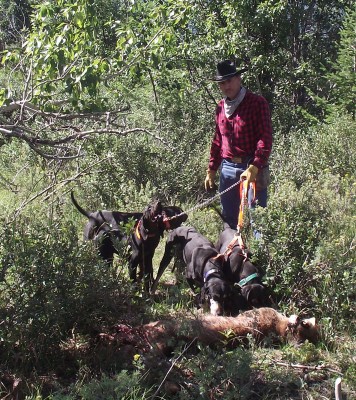 's Last Lion Bow Valley Park July 2011.jpg