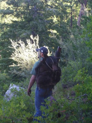 Noah's First bear 058 [50%].jpg