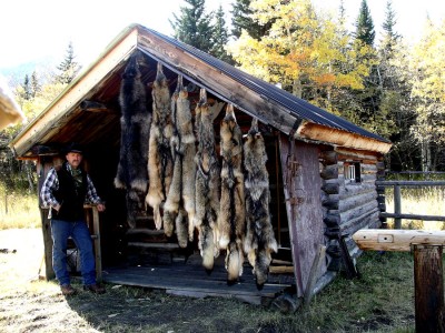 Wolves winter of 2010 2011.jpg