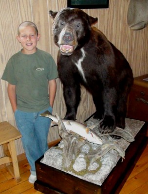 Bear mount 2.JPG