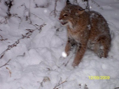 107_0163 [640x480].JPG