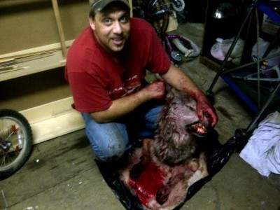 dead wolf.jpg