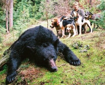 anthoneys bear 2.jpg