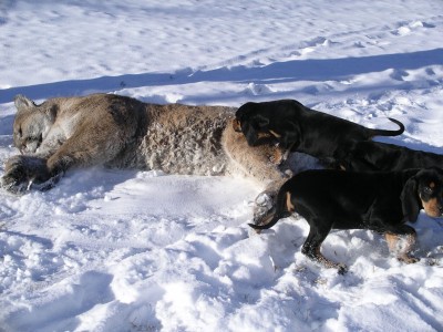 Kate Sue Mater 111.jpg