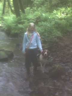 Older pic of my oldest with her little walker we had for awhile.  Bob has her know.  Good little dog.