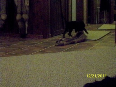 106_0466 [640x480].JPG