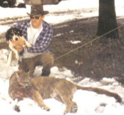 cork mountain lion.jpg