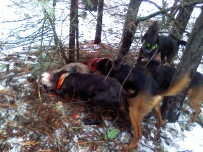 Captured iph 00380.jpg