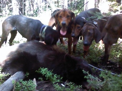 Captured iph 00146.jpg