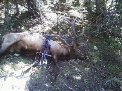 Captured iph 00451.jpg