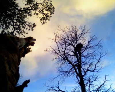 Captured iph 00068.jpg