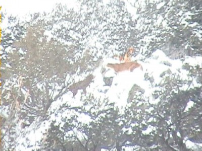 Captured iph 00458.jpg