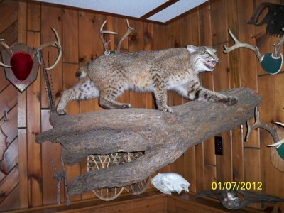 106_0520 [640x480].JPG