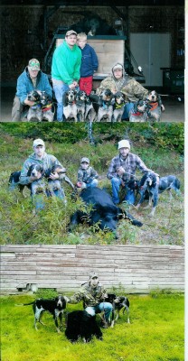 Ellwanger Blueticks.jpg