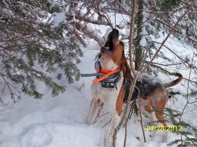 106_0535 [640x480].JPG