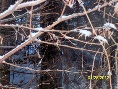 106_0534 [640x480].JPG