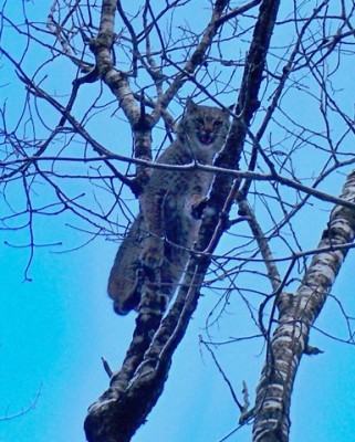 106_0533 [640x480].JPG