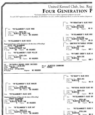 Ellwanger Pedigrees.jpg