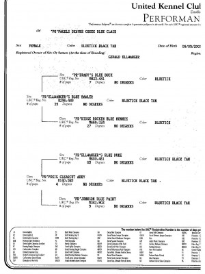 Ellwanger Pedigrees3.jpg