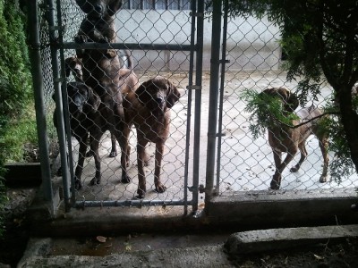 2011-08-30 15.26.37.jpg