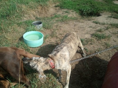 2011-08-30 15.35.34.jpg