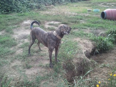 2011-08-30 15.36.42.jpg