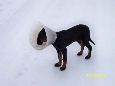 106_0540 [640x480].JPG