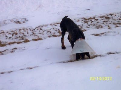 106_0543 [640x480].JPG