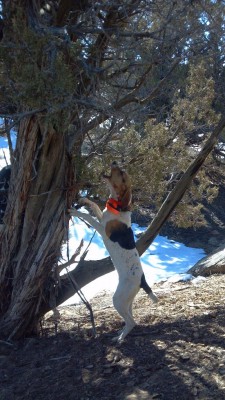 2012-02-25_10-39-59_812 00.jpg