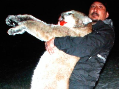 Captured iph 00319.jpg