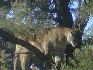 March 2012 Tom 3.jpg