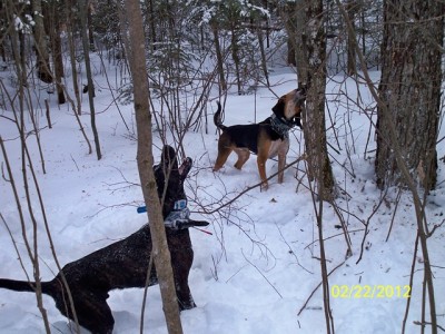 106_0557 [640x480].JPG