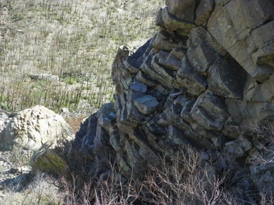 Look closely lion is lower middle left, only head and paw visable..JPG