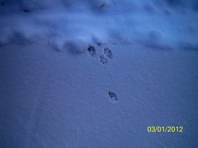 106_0563 [640x480].JPG