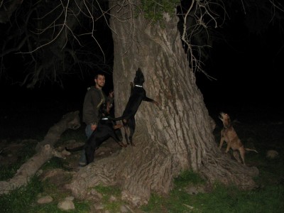 bigcottonwood1 (Copy).JPG