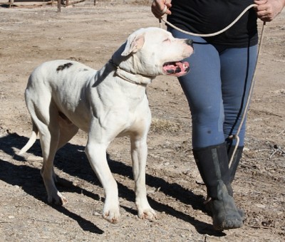 Sam 01-13-12 002.JPG