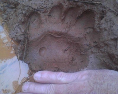 Photo04250925 (Copy).jpg