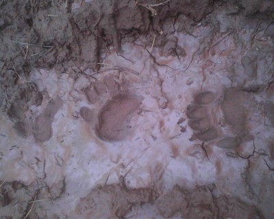 Photo04250925951 (Copy).jpg