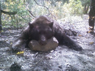 Captured 1980-1-6 00166.jpg